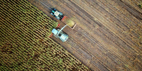 Cover photo for Oklahoma Farm Enhancement and Diversification Grant: Marketing and Utilization Loan