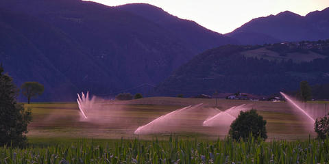 Cover photo for ONE RED Irrigation Engine Program