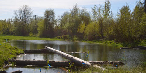 Cover photo for Oregon Watershed Enhancement Board Small Grant