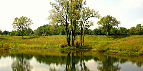 Cover photo for Iowa Stormwater Best Management Practice Loans