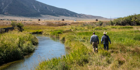 Cover photo for Ranching for Rivers