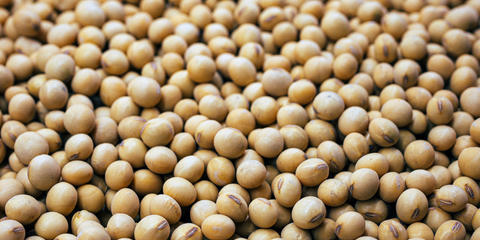Cover photo for SecondCrop