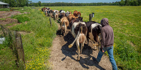 Cover photo for Southern Maryland Farmer Mini-Grant Program