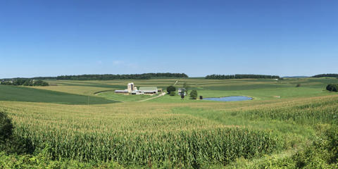 Cover photo for Southern Maryland Revolving Loan Fund for Agricultural & Shellfish Aquaculture Producers