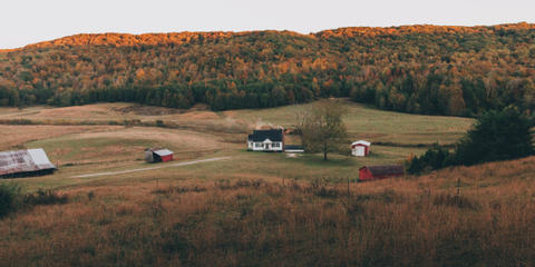 Cover photo for Tennessee Statewide Agricultural Producer Association Grant Program