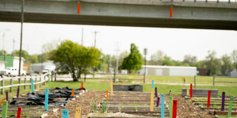 Cover photo for missouri Urban Agriculture Cost-Share Grant Program