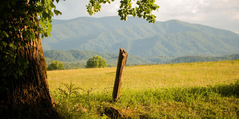 Cover photo for Tennessee Agricultural Enterprise Fund