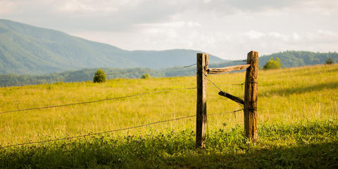 Cover photo for Tennessee FARM Cost Share Program