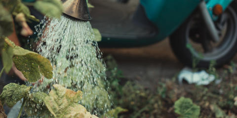 Cover photo for Vermont Farm and Forest Water Quality Grant