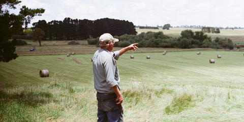 Cover photo for Vermont Working Lands Service Provider Grants