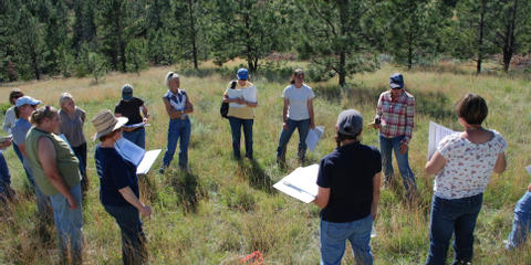 Cover photo for Western SARE Research and Education Grant