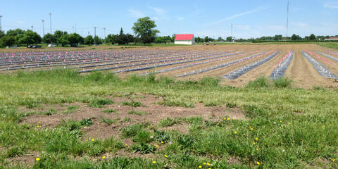 Ohio State - College of Food, Agricultural, and Environmental