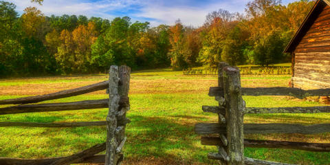 Cover photo for Western North Carolina Agricultural Options Program