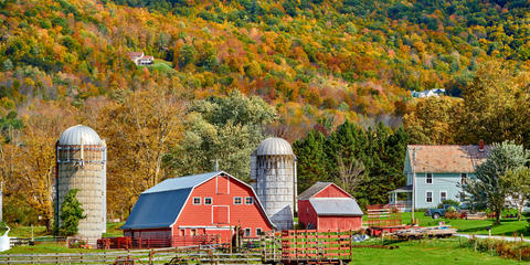 Cover photo for Vermont Working Lands Business Enhancement Grants