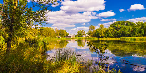 Cover photo for ACEP Wetland Reserve Enhancement Partnership