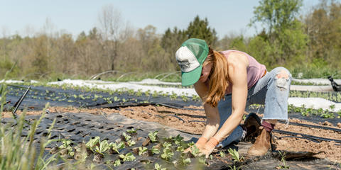 Cover photo for Minority and Women Farmers and Ranchers (Socially Disadvantaged Applicant) Loan