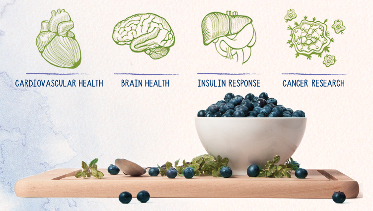 The Health Benefits of Blueberries The Health Benefits of Blueberries Image