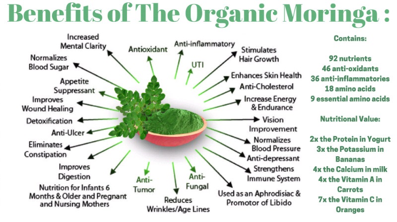 Moringa Benefits Chart