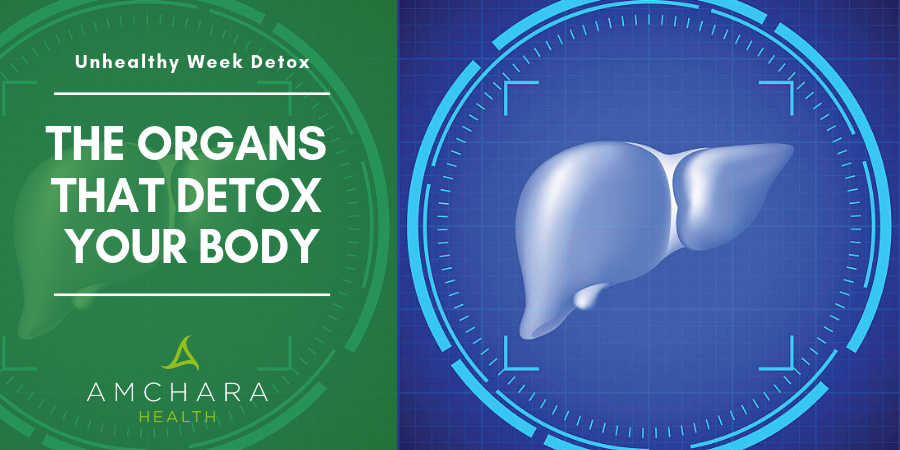 Organs that Detox Your Body