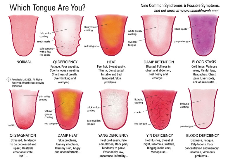 tongue chart