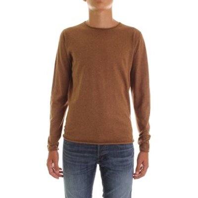 Selected  16047649  men's Sweater in Beige