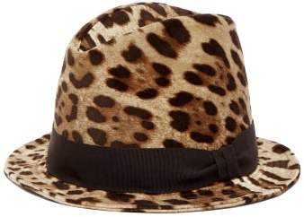 Dolce & Gabbana - Leopard-print Cotton-blend Fedora Hat - Womens - Brown