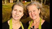 Anbud365: Tross corona, offentlig kjøp av økologiske matvarer i Sverige øker