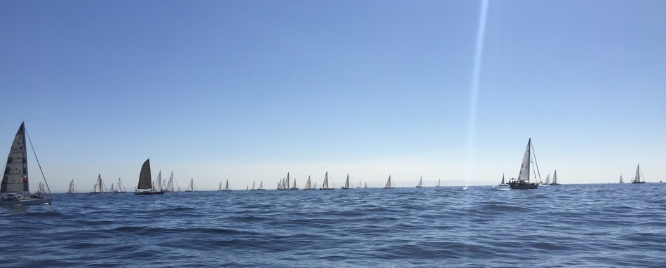 sailing banner image