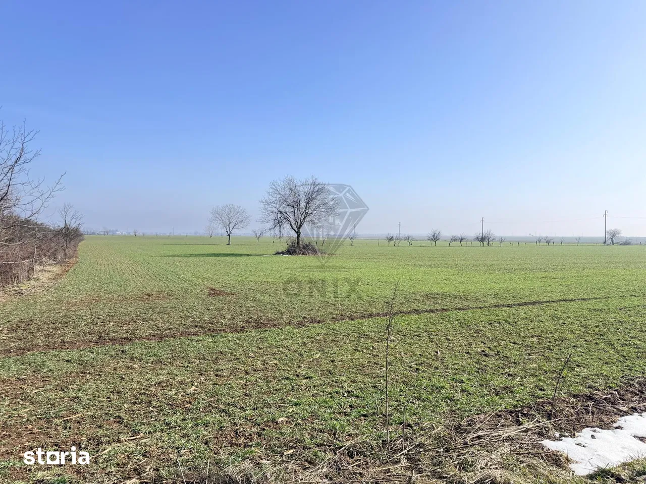Teren de vânzare 3000 mp intravilan  ONIX IMOBILIARE - 1