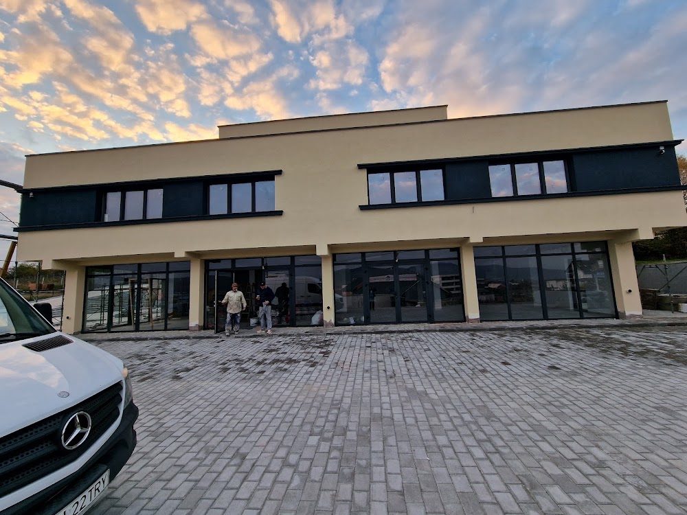 Proiect 1