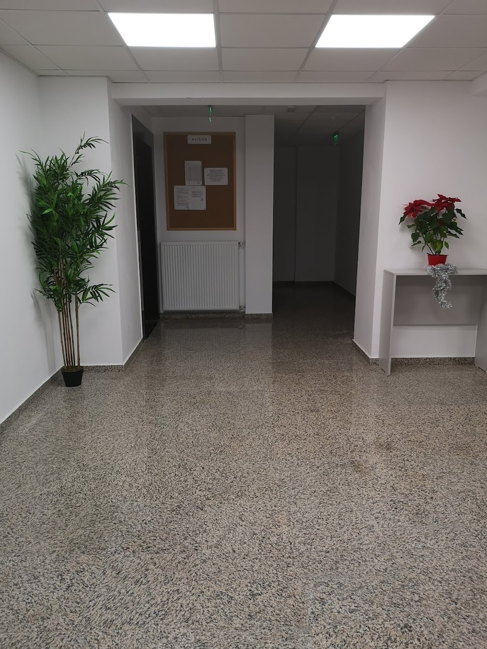 Proiect 4