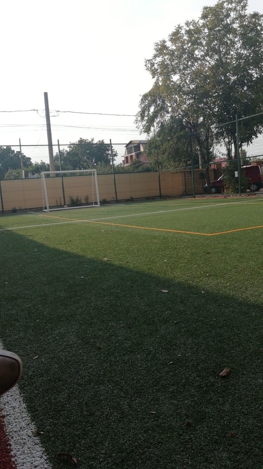 Proiect 7