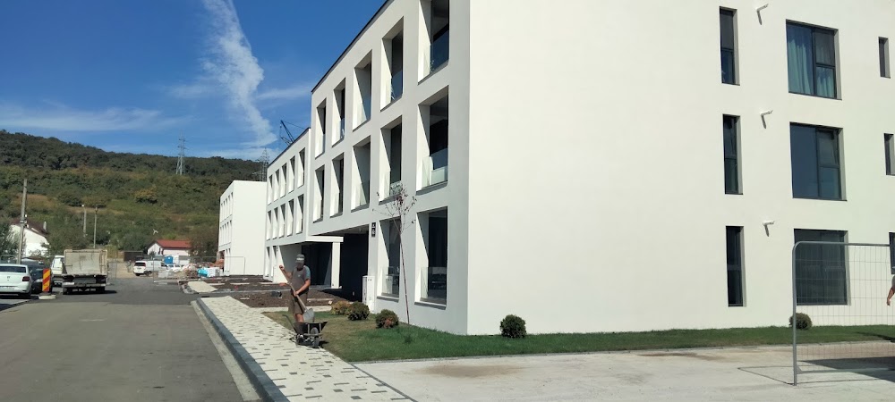 Proiect 8
