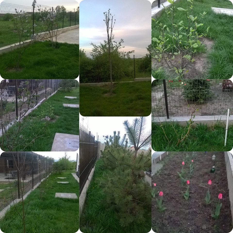Proiect 3