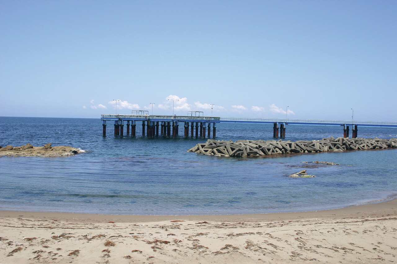 4335只見川石 横48×高24×奥行18(cm)約21kg 4335只見川石 横48×高24×奥行18(cm)約21kg