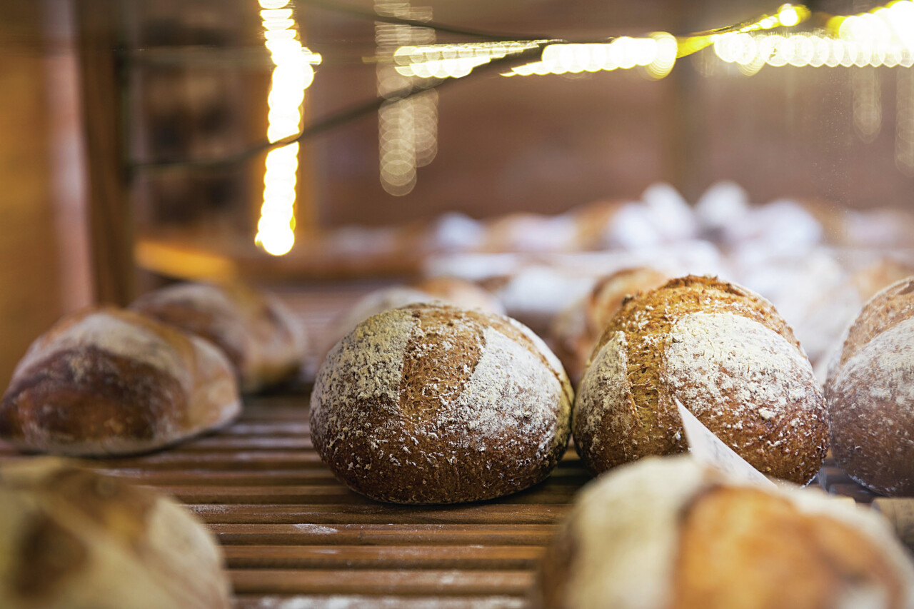 天然酵母パン成功の秘訣: 手づくり新食感そとカリ!なかフワ! (SERIES