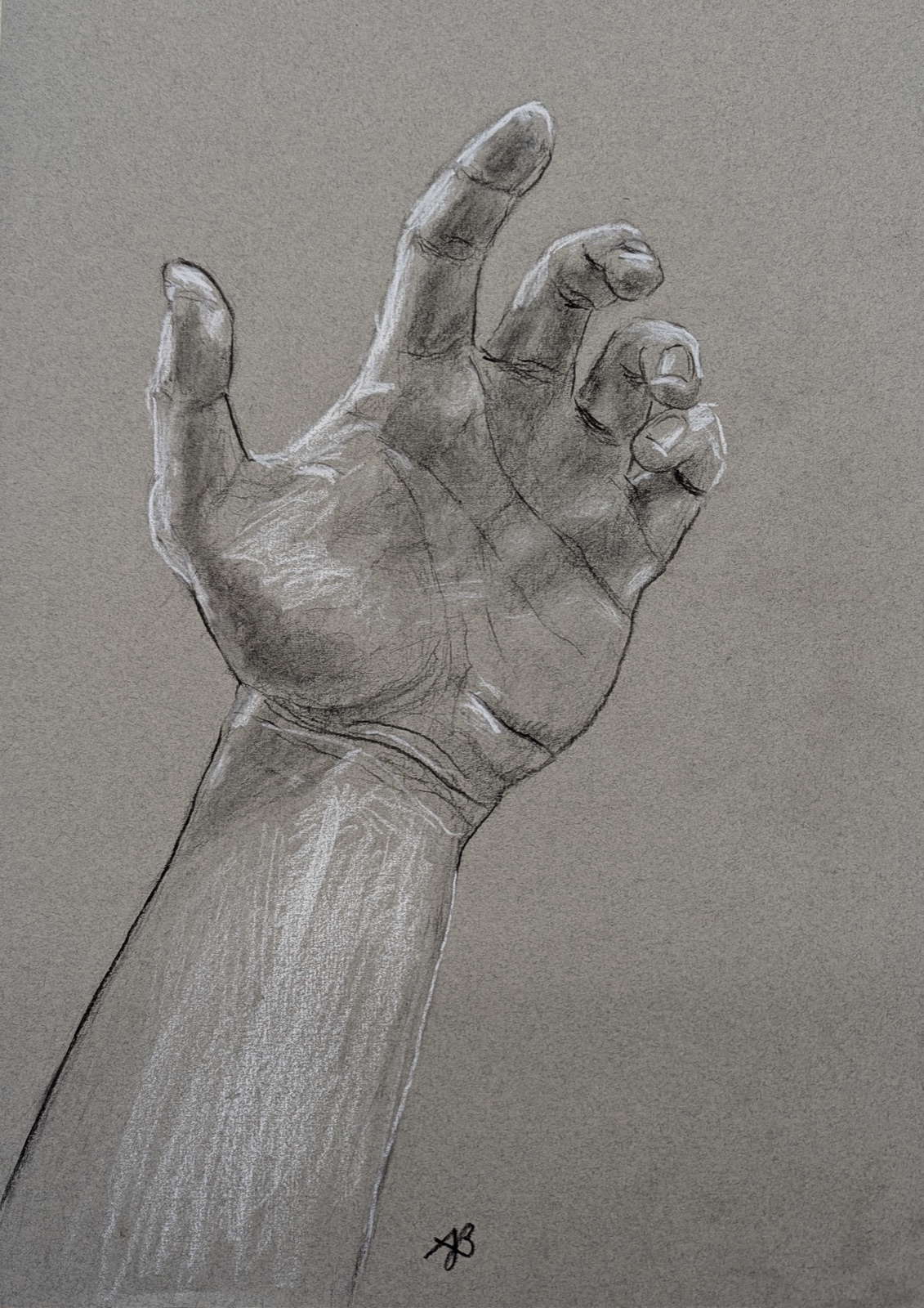 Charcoal and chalk study of my own left hand.