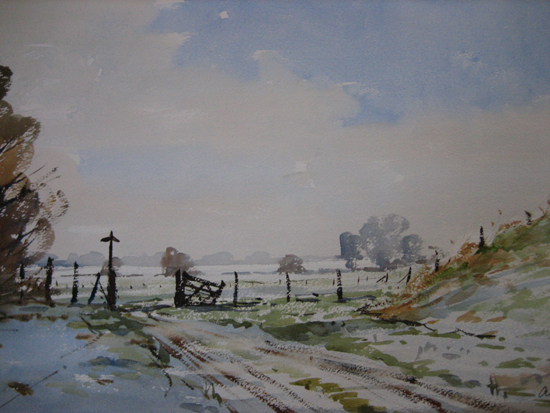 Frost in the Fields