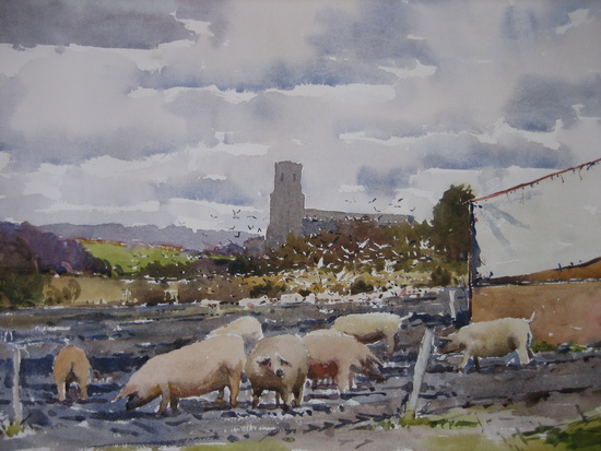 Pigs and Gulls at Blythburgh