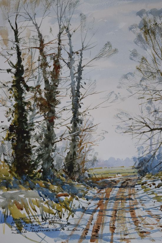 A frosty morning - Shepherd's Lane