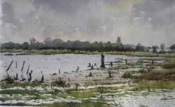 Feeding on the Mudflats, Blythburgh