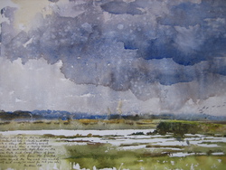 Another Wet Day on the Marshes