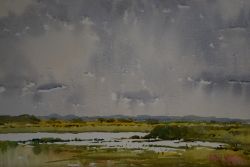 Marshes and Sky