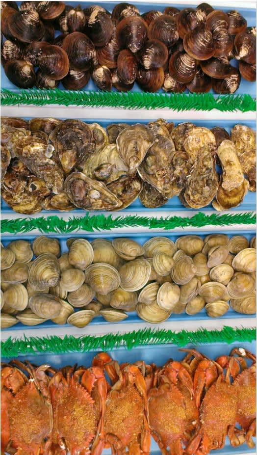 Valley Seafood Inc background image