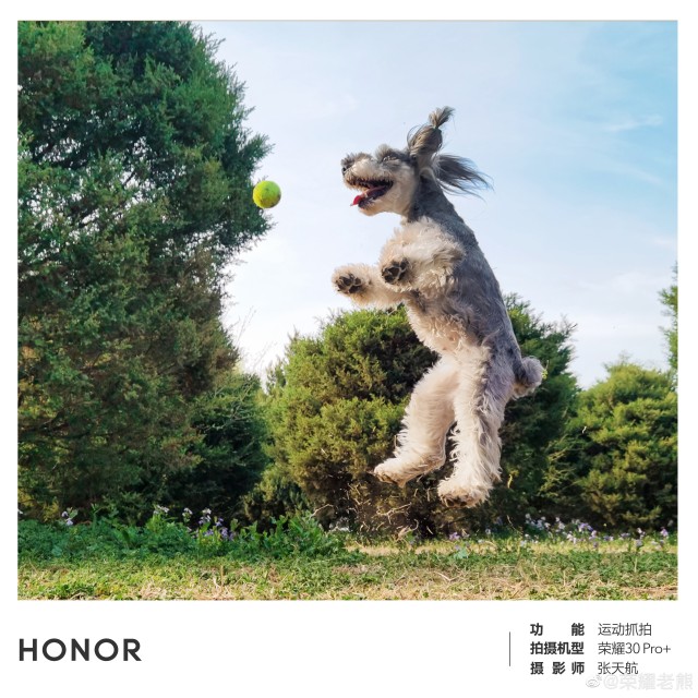 Honor