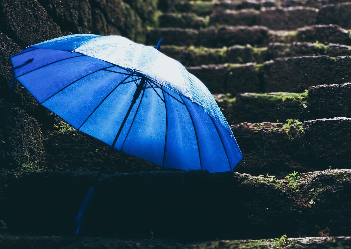 Blue Umbrella