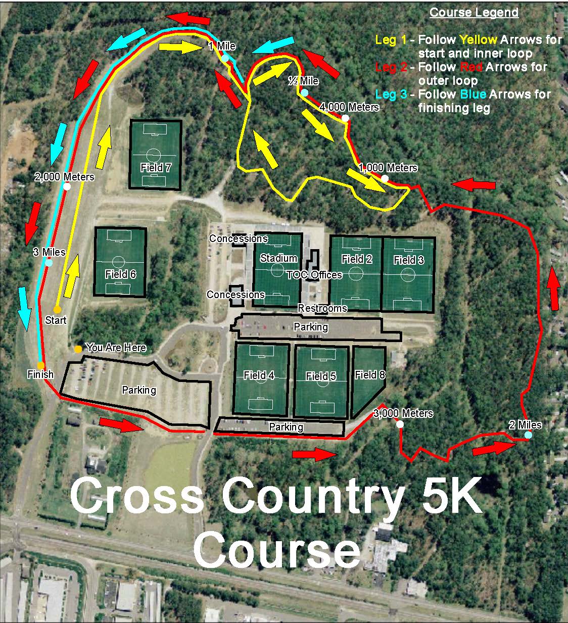 Track & Field, Cross Country Results, Statistics