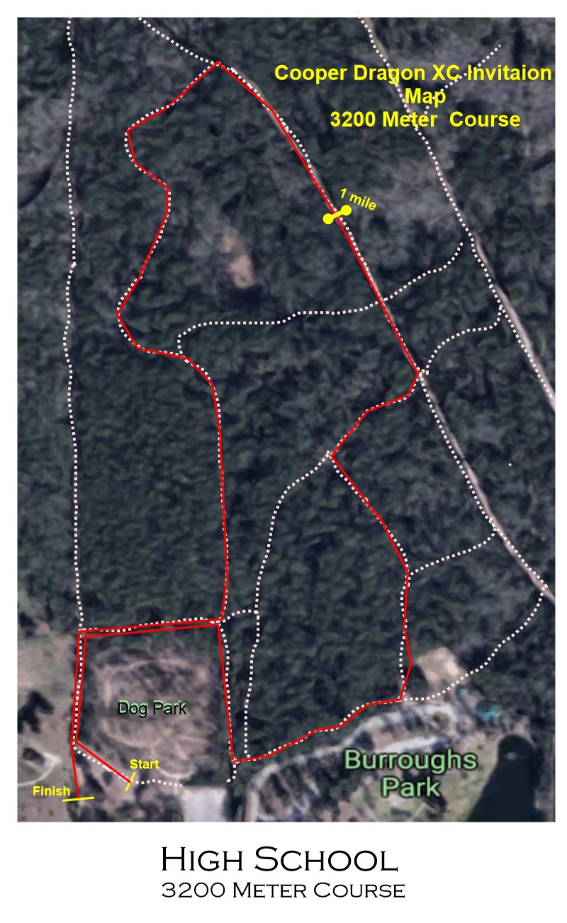 Track & Field, Cross Country Results, Statistics