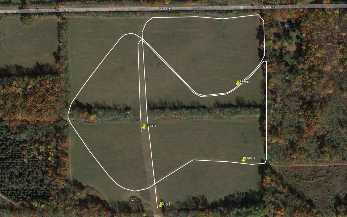 Track & Field, Cross Country Results, Statistics