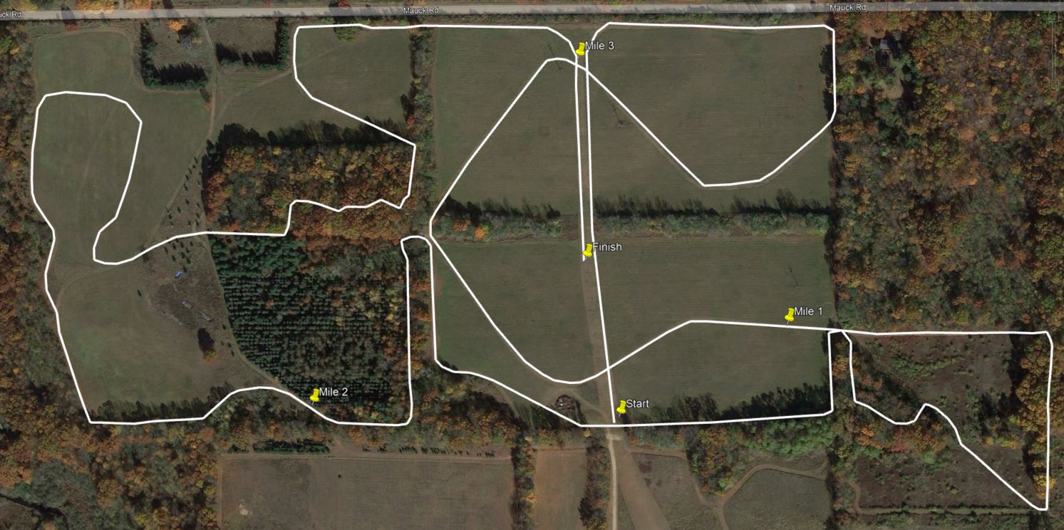 Track & Field, Cross Country Results, Statistics